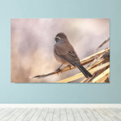 Toile Épervier sur une mince branche (Insitu (Plancher de Bois))