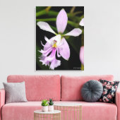 Toile Epidendrum caligarium (Insitu(Salon))