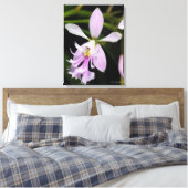 Toile Epidendrum caligarium (Insitu(Chambre))