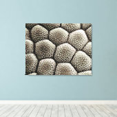 Toile épiderme du pavé d'orteil d'un crapaud (Insitu (Plancher de Bois))