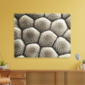 Toile épiderme du pavé d'orteil d'un crapaud (Insitu(Salon))