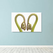 Toile Épouses de fougères 2 (Insitu (Plancher de Bois))