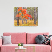 Toile Érable aux couleurs d'automne (Insitu(Salon))
