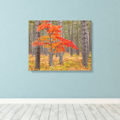 Toile Érable aux couleurs d'automne (Insitu (Plancher de Bois))