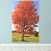 Toile Érable d'automne avec feuilles rouges en feu (Insitu (Plancher de Bois))