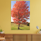 Toile Érable d'automne avec feuilles rouges en feu (Insitu(Salon))