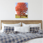 Toile Érable d'automne avec feuilles rouges en feu (Insitu(Chambre))
