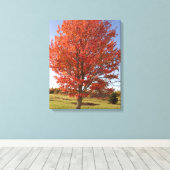 Toile Érable d'automne avec feuilles rouges en feu (Insitu (Plancher de Bois))