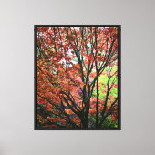 Toile Érable d'automne coloré (Recto)
