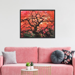 Toile Érable japonais d'automne flamboyant