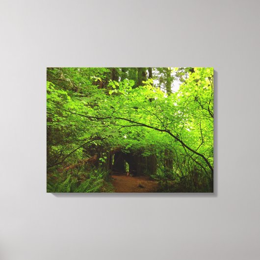 Toile Érables dans la forêt de séquoias (Recto)