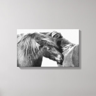 Toile Éraflure de poneys
