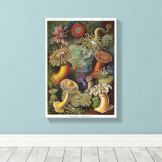 Toile Ernst Haeckel (Insitu (Plancher de Bois))