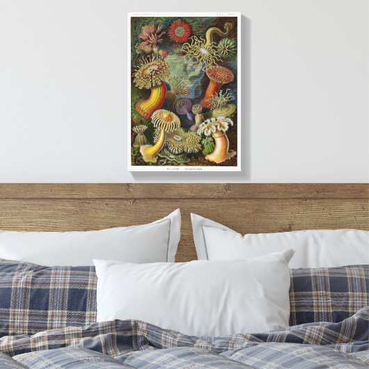Toile Ernst Haeckel (Insitu(Chambre))