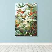 Toile Ernst Haeckel Trochilidae Hummingbird (Insitu (Plancher de Bois))