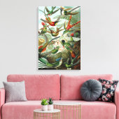 Toile Ernst Haeckel Trochilidae Hummingbird (Insitu(Salon))