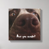 Toile Es-Tu Réveillé ? (Recto)