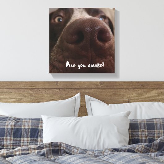 Toile Es-Tu Réveillé ? (Insitu(Chambre))