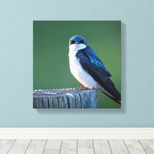 Toile Escalier (Insitu (Plancher de Bois))