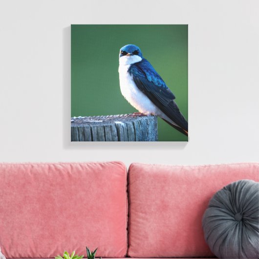 Toile Escalier (Insitu(Salon))