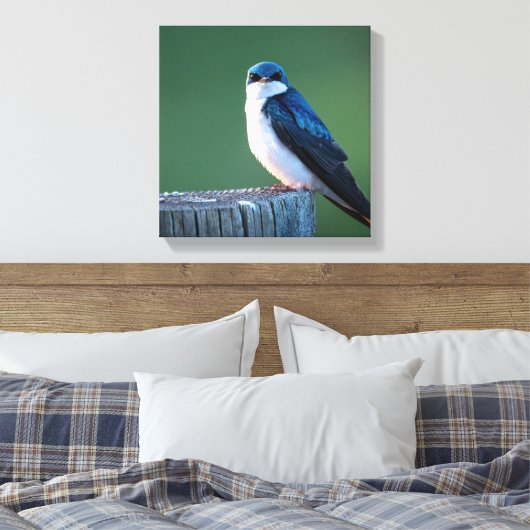 Toile Escalier (Insitu(Chambre))