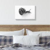 Toile escargot (Insitu(Chambre))