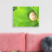 Toile escargot (Insitu(Salon))
