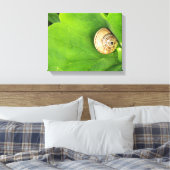 Toile escargot (Insitu(Chambre))