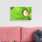 Toile escargot (Insitu(Salon))