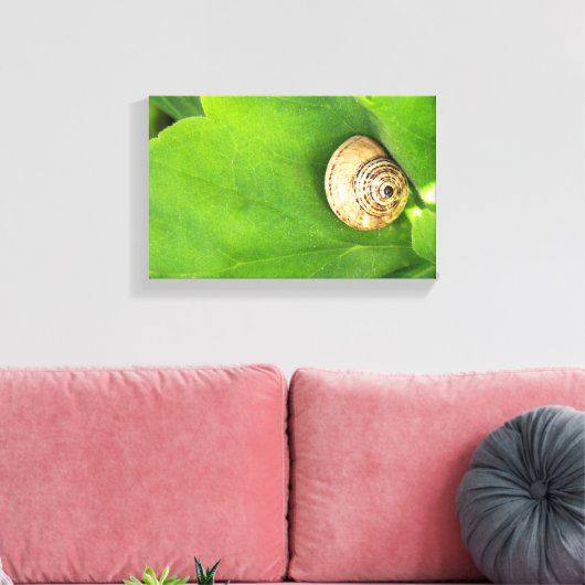 Toile escargot (Insitu(Salon))