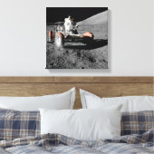Toile espace buggy de l'astronaute d'atterrissage de lun (Insitu(Chambre))