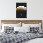 Toile Espace extra-atmosphérique, Cosmos, Système solair (Insitu(Chambre))