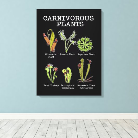 Toile Espèces Plantes carnivores Saracenia Vénus Flytrap (Insitu (Plancher de Bois))