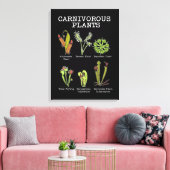 Toile Espèces Plantes carnivores Saracenia Vénus Flytrap (Insitu(Salon))