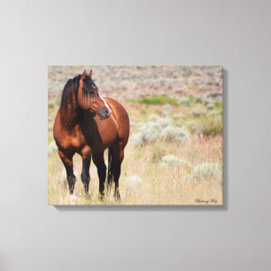 Toile Étalon sauvage américain de mustang