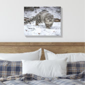Toile Étapes du club léopard des neiges (Insitu(Chambre))