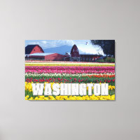 État de Washington | Champ de tulipes