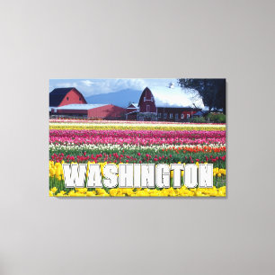 Toile État de Washington   Champ de tulipes
