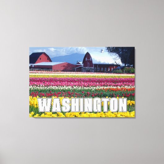 Toile État de Washington | Champ de tulipes (Recto)