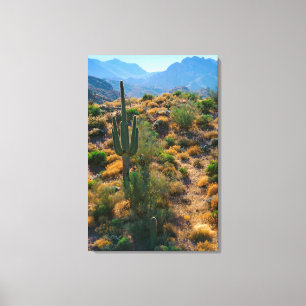 Toile États-Unis, Arizona. Desert View