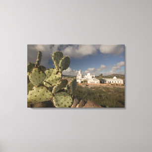 Toile États-Unis, Arizona, Tucson: Mission San Xavier de