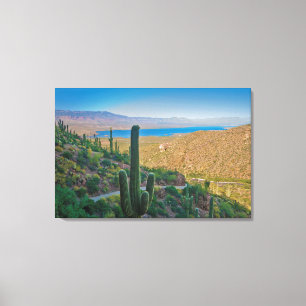 Toile États-Unis, Arizona. Vue depuis l'entrée de Tonto