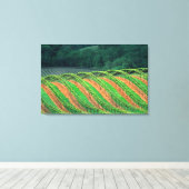 Toile États-Unis, Californie, comté de Mendocino, un (Insitu (Plancher de Bois))