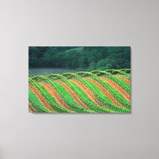 Toile États-Unis, Californie, comté de Mendocino, un (Recto)