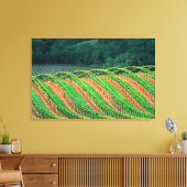 Toile États-Unis, Californie, comté de Mendocino, un (Insitu(Salon))