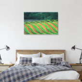 Toile États-Unis, Californie, comté de Mendocino, un (Insitu(Chambre))