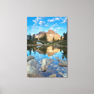 Toile États-Unis, Californie, Forêt nationale d'Inyo 5