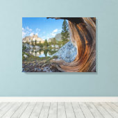 Toile États-Unis, Californie, Forêt nationale d'Inyo. An (Insitu (Plancher de Bois))