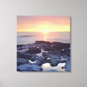 Toile États-Unis, Californie, San Diego. Marée de Sunset