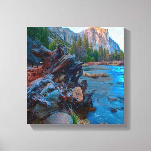 Toile États-Unis, Californie. Tree Roots (Recto)